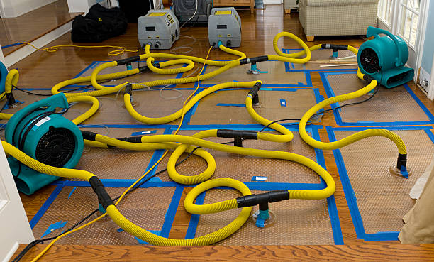 Professional Water Extraction technician working in Bausman, PA